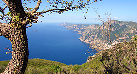 Tropea &amp; Capo Vaticano Casa Punta Saf&ograve;
