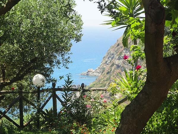 Ausblick aufs meer